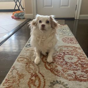 Meet your Posher, Aramis